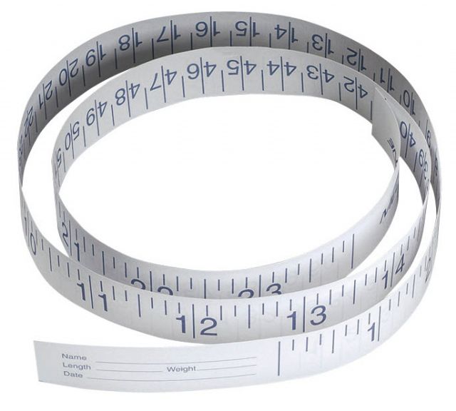Disposable Paper Measuring Tapes by Medline